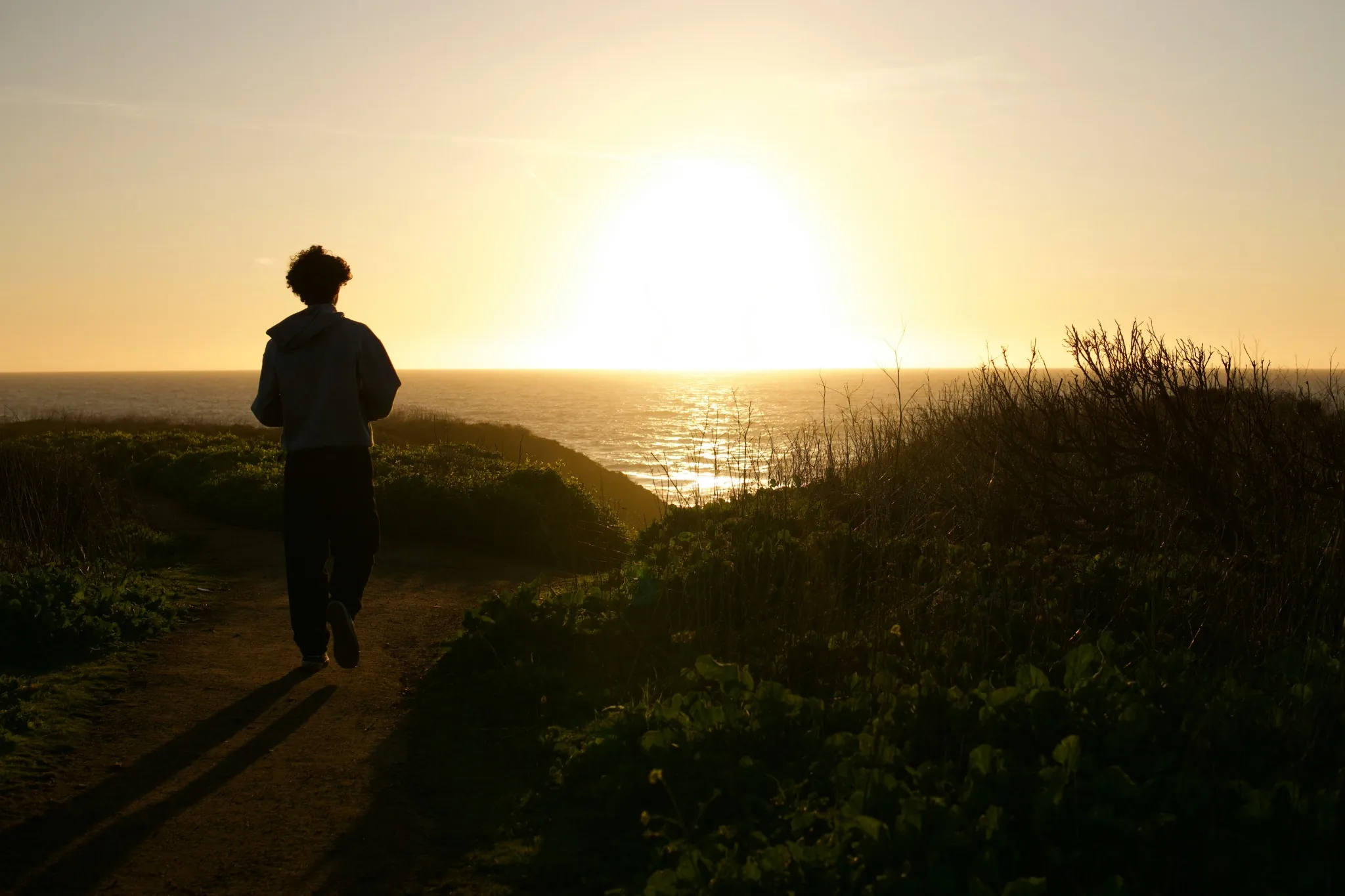 Personne regardant l’horizon au coucher du soleil
